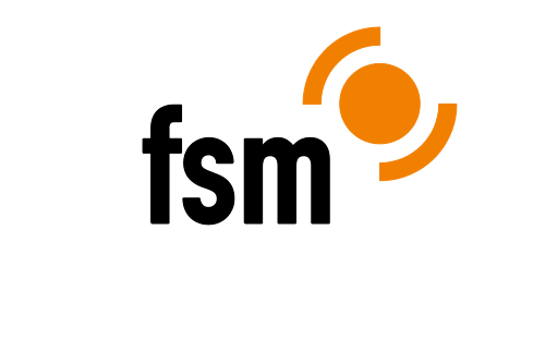 독일의 인터넷 자율규제 시스템 FSM